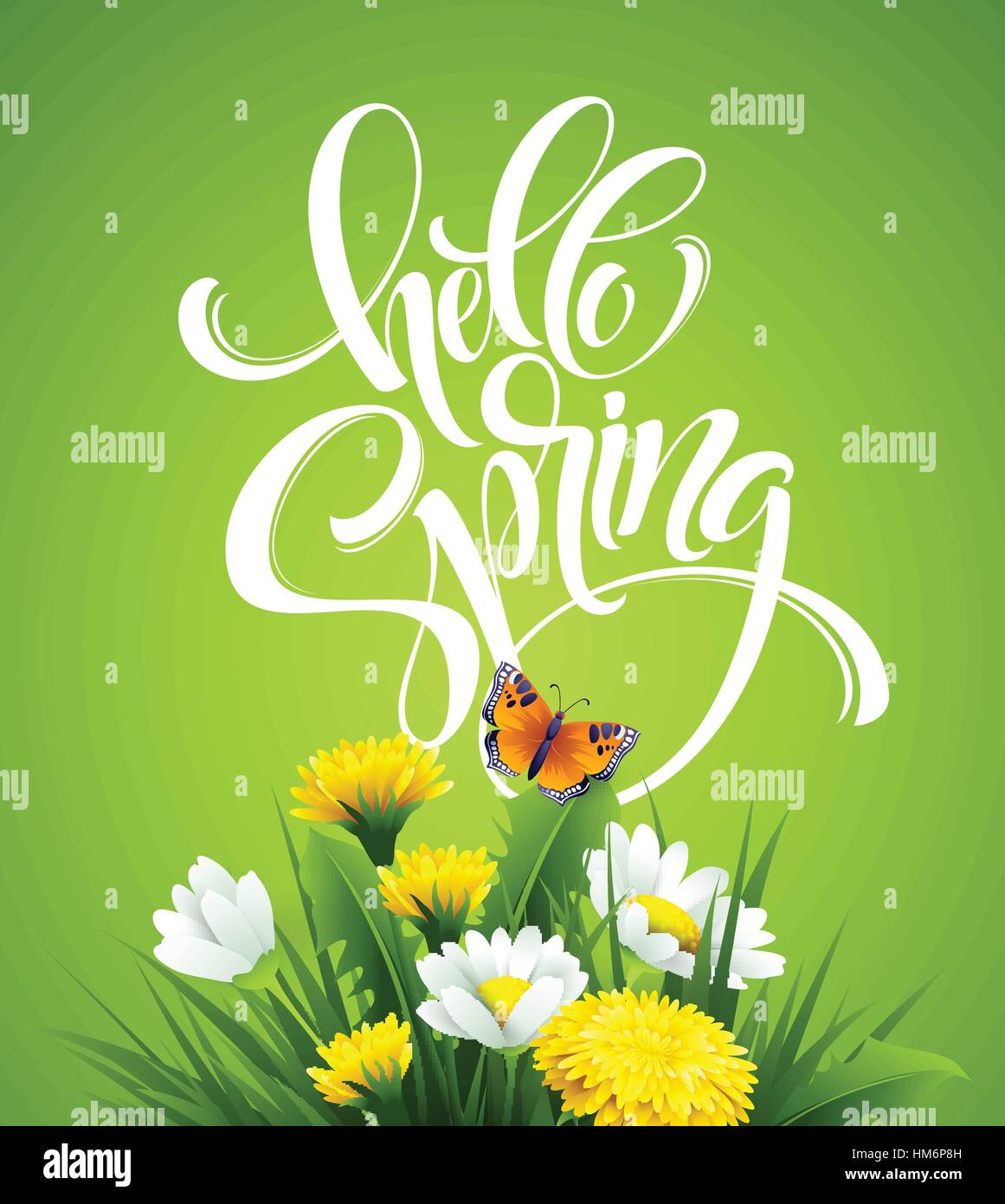 Iscrizione Ciao molla scritte a mano sullo sfondo con fiori. Illustrazione Vettoriale Illustrazione Vettoriale