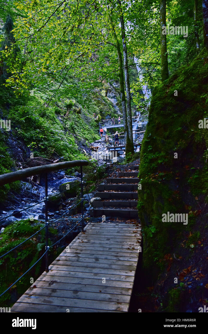 Il Footbridge per Eifersdorfer Wasserfall (cascata) Foto Stock