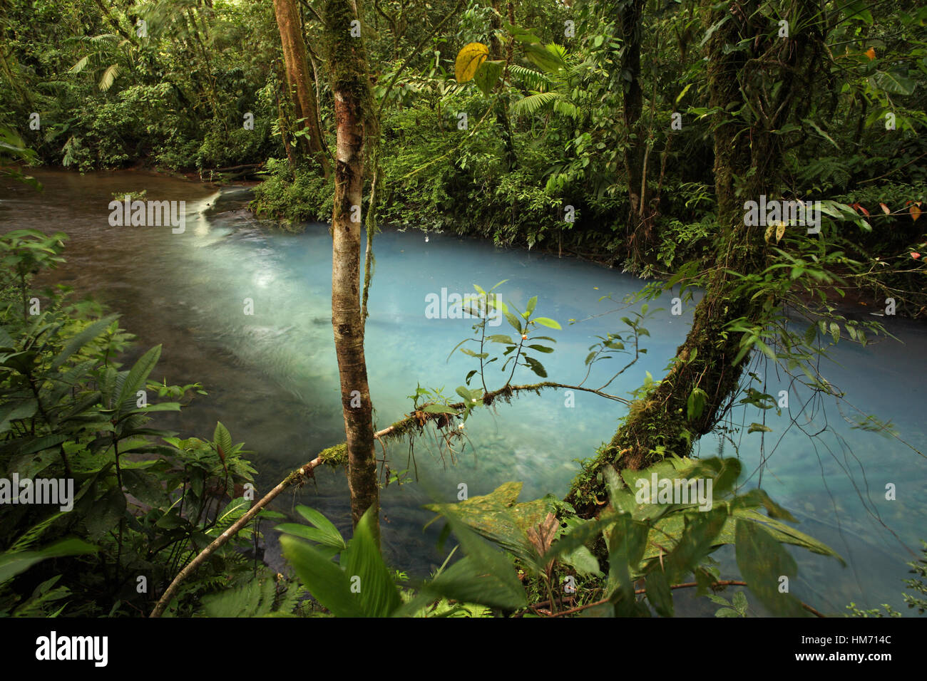 Rio Celeste blu (fiume) in Tenorio Il Parco Nazionale del Vulcano, Costa Rica. La colorazione blu è un risultato di zolfo dal vulcano trafili attraverso Foto Stock