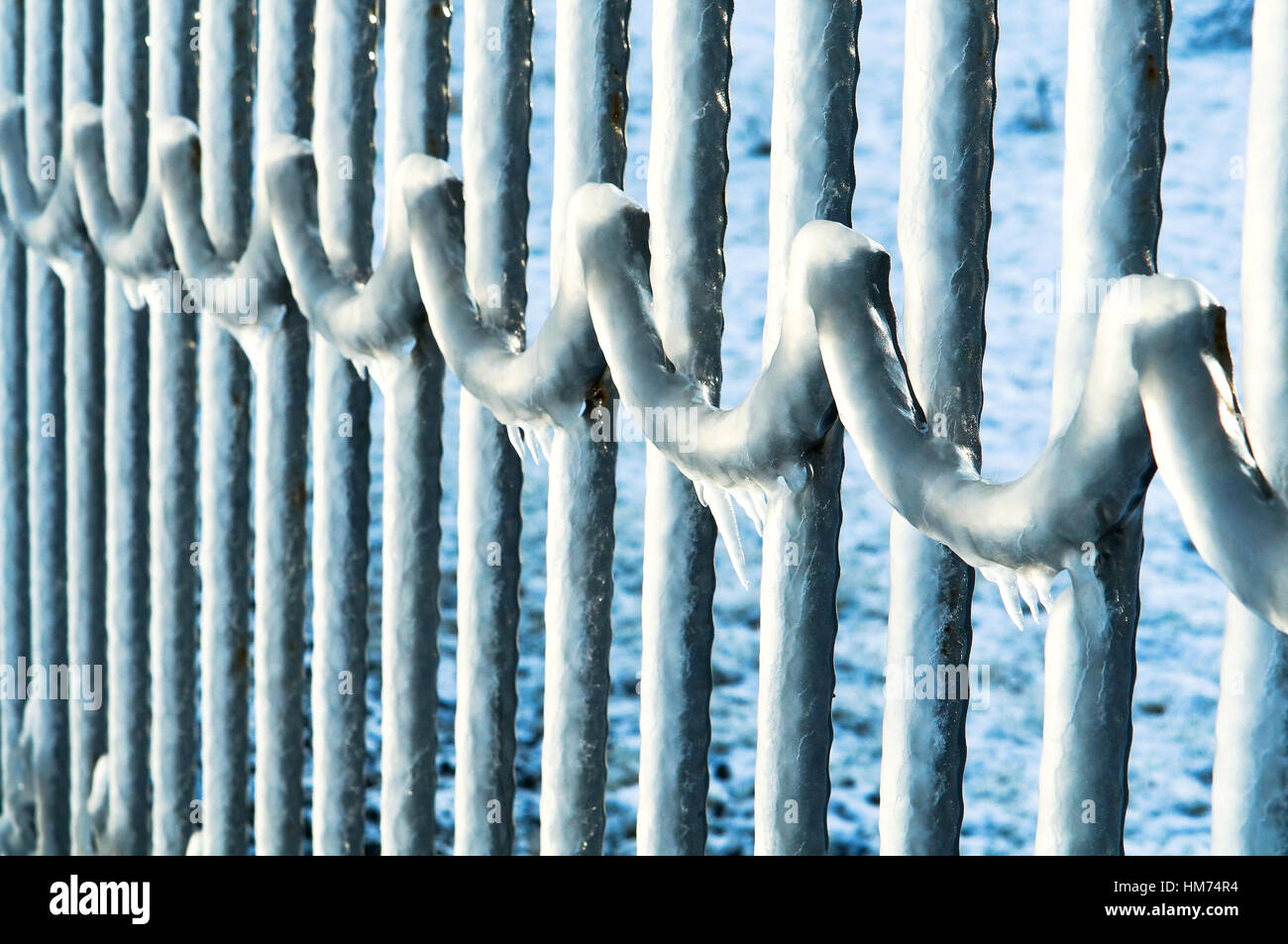 Gli elementi congelati, freddo giorno, congelate, ghiacciato, ricoperti di ghiaccio Foto Stock