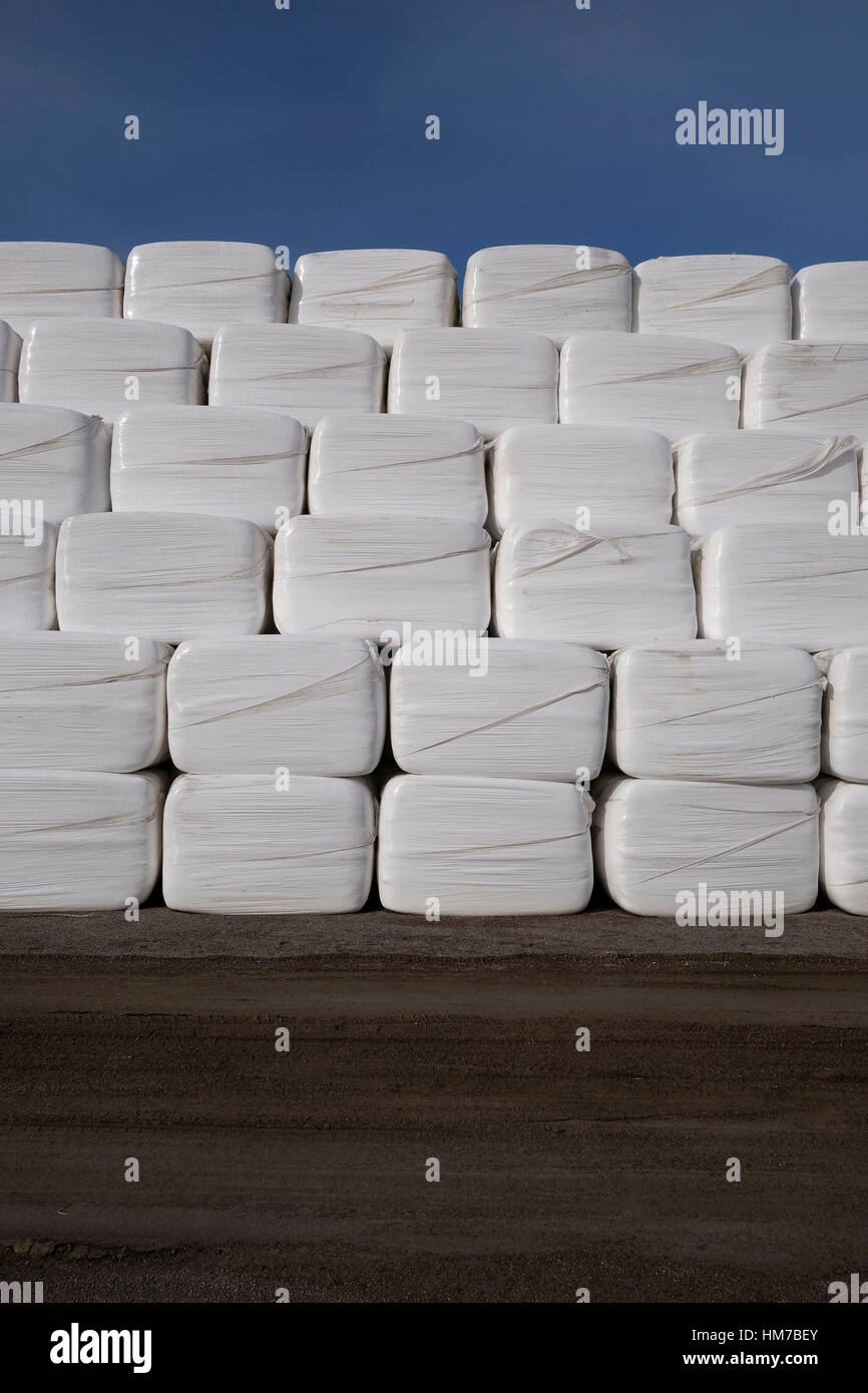 L'agricoltura,blu,box, caselle,bundle,cultura, diagonal,terra,campo,foraggi,incorniciato,l'erba,fieno,package,pranzo,pila,in plastica, piramide,rural,SKY,Molla,paglia,struttura,simmetria,bianco Foto Stock