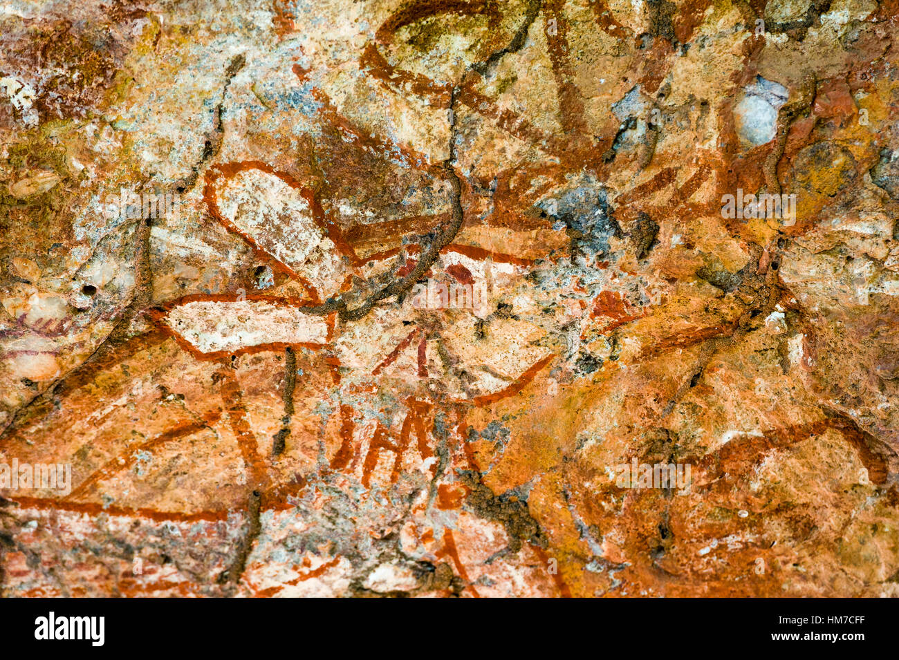 Un antica immagine di un canguro in un aborigeno rock pittura galleria d'arte. Foto Stock