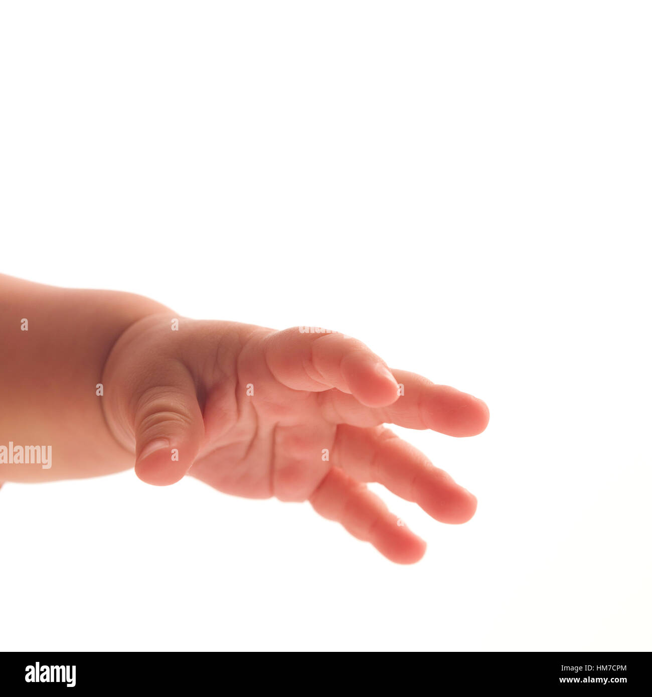 Mano del bambino (6-11 mesi) su sfondo bianco Foto Stock