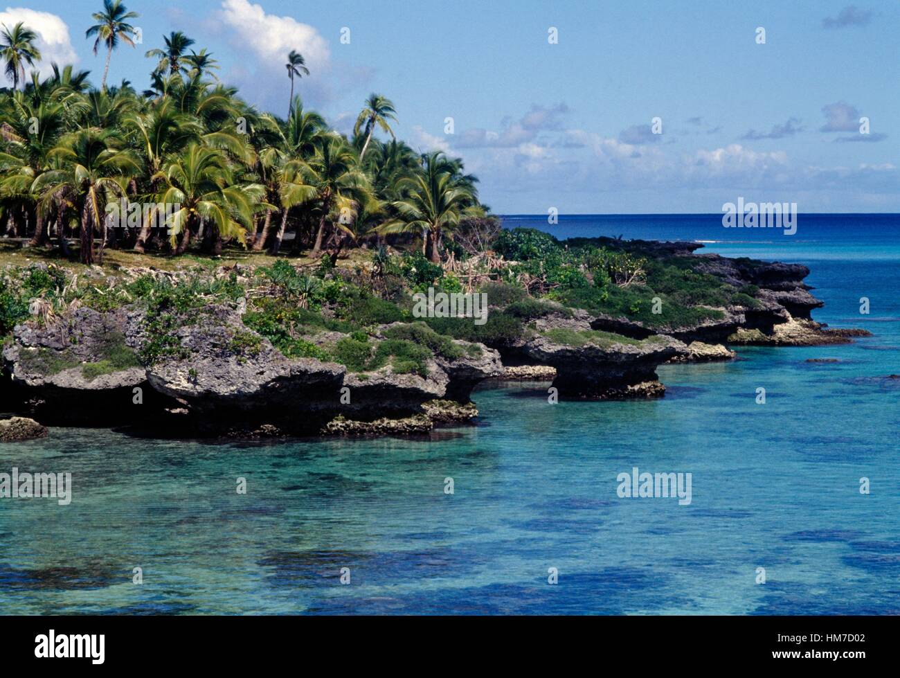Palme su un pezzo di costa rocciosa, Isole della Lealtà, Nuova Caledonia, territorio di oltremare della Repubblica francese. Foto Stock