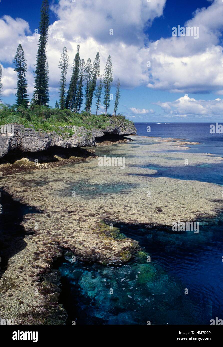 Fondali rocciosi, Isole della Lealtà, Nuova Caledonia, territorio di oltremare della Repubblica francese. Foto Stock
