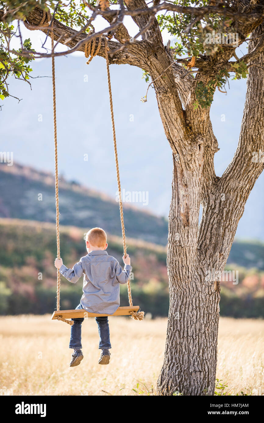 Bambino (4-5) seduto su altalena sotto agli alberi Foto Stock
