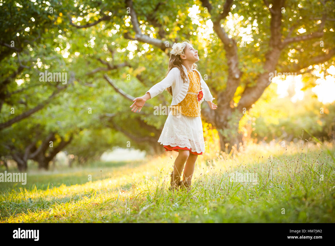 Spensierata ragazza di filatura in frutteto con le braccia tese Foto Stock