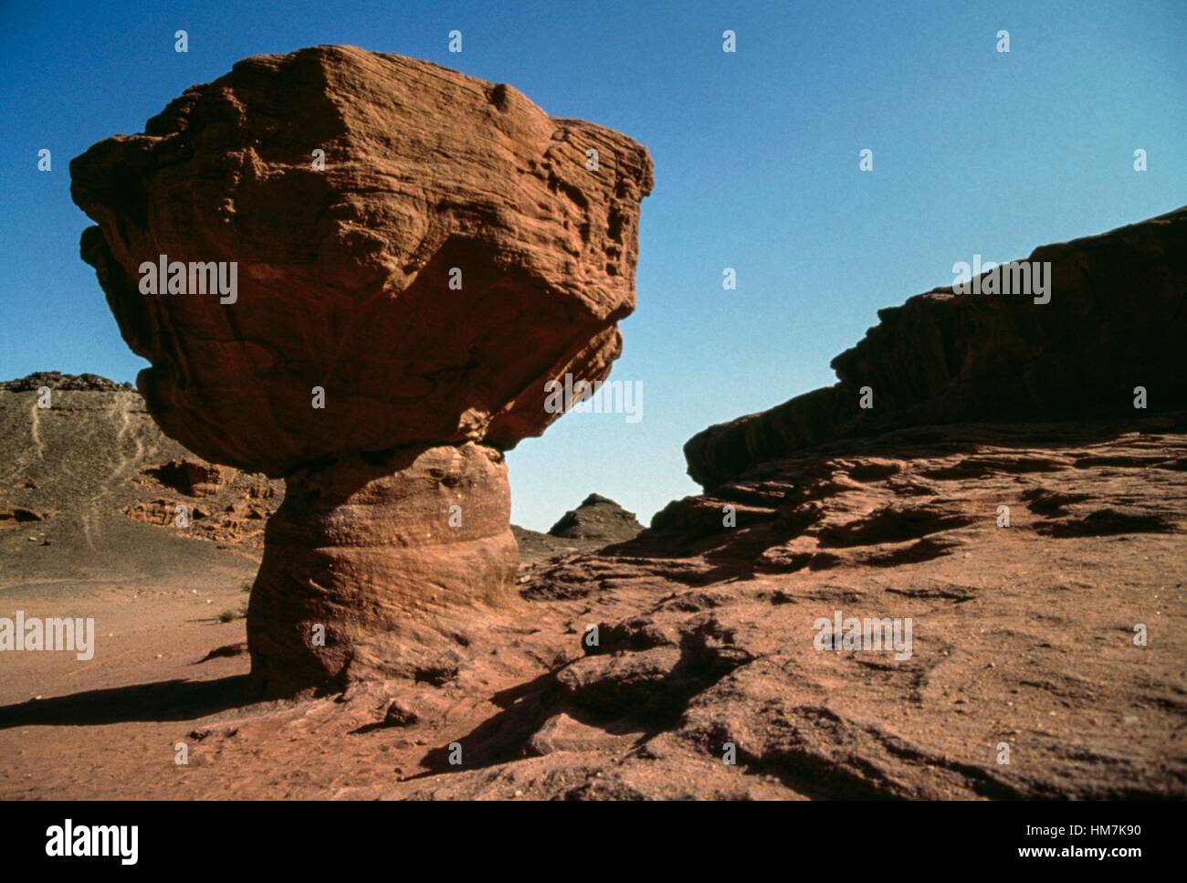 Fungo roccioso, risultato di erosione di vento, Timna Park, il deserto del Negev, Israele. Foto Stock