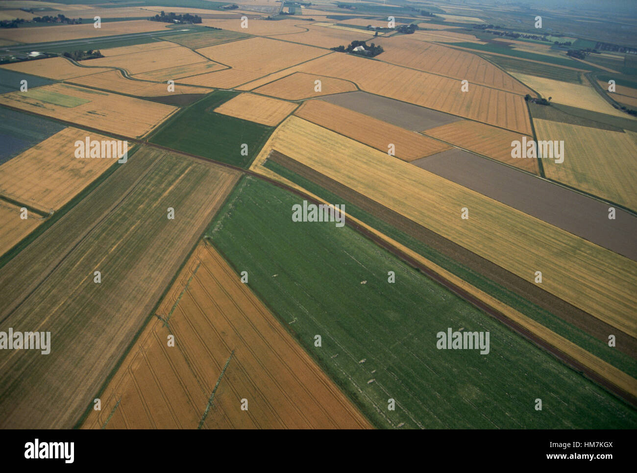 Campi coltivati, vista aerea, vicino a Husum, Schleswig-Holstein, Germania. Foto Stock