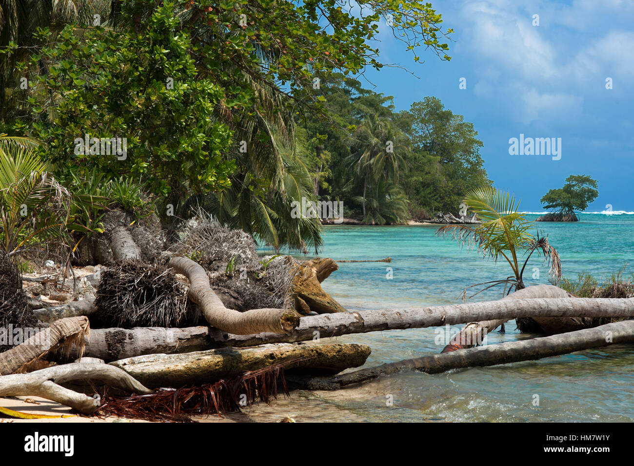 Island Beach preso dalla superficie dell'acqua con una lussureggiante vegetazione tropicale, Bocas del Toro, Mar dei Caraibi, Zapatillas chiavi, Panama. Spiaggia tropicale isola Foto Stock