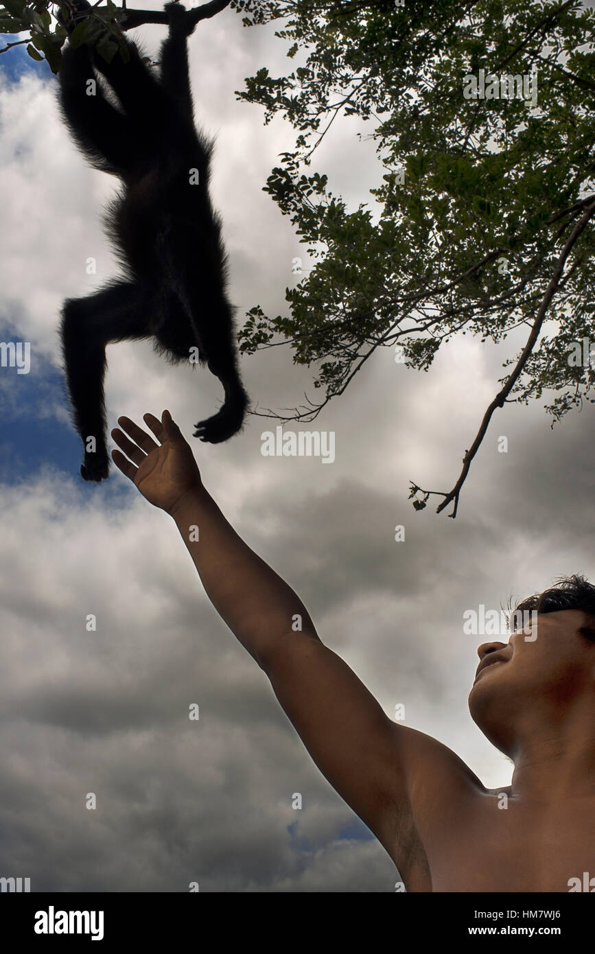 Spider monkey presso gli abitanti di un villaggio di nativi Embera indiano tribù, Embera Village, Panama. Panama Embera persone Villaggio Indiano Indio indigeni indios nati Foto Stock