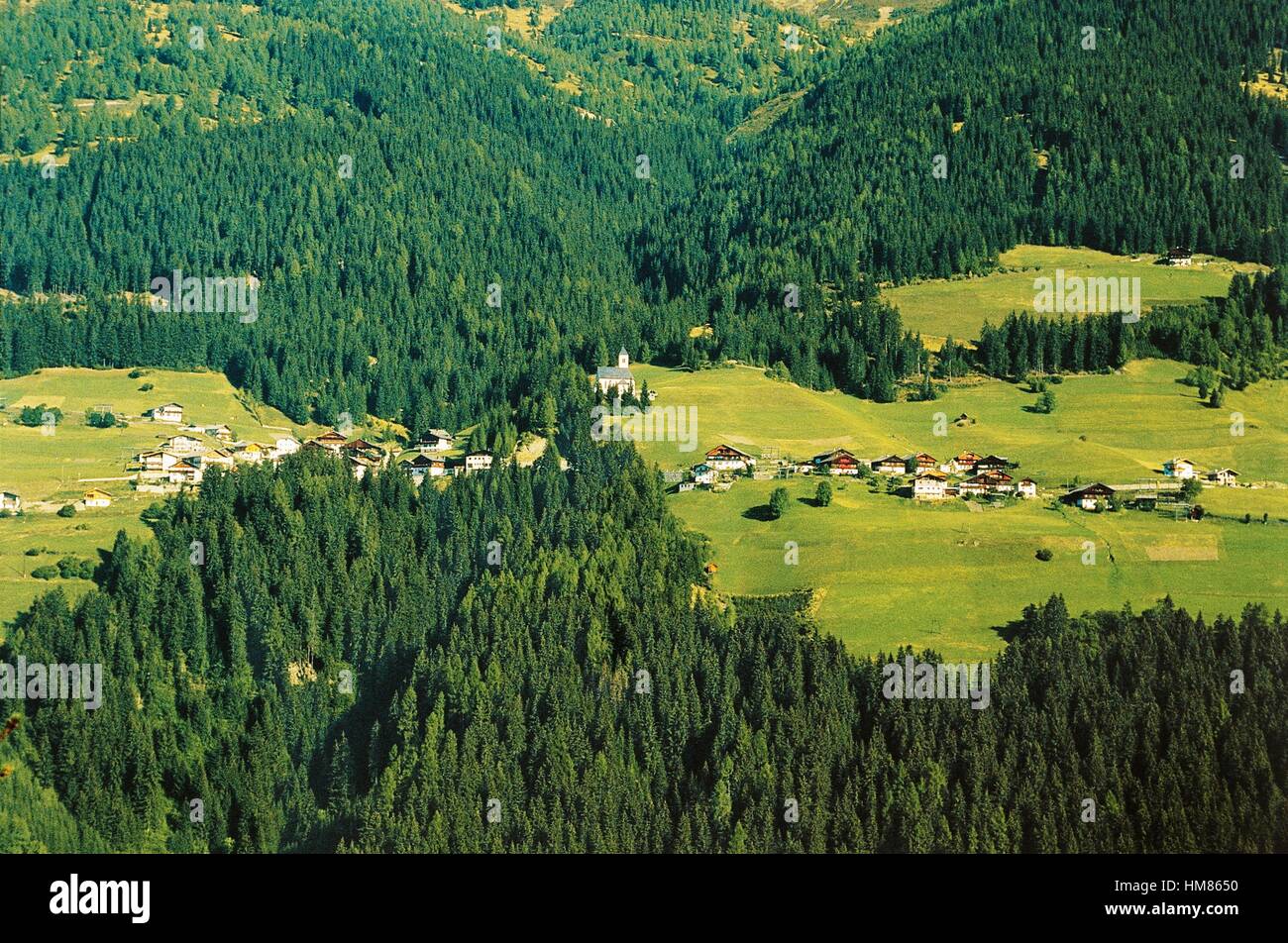 Vista di Tessenberg con le foreste di conifere e case, Svizzera. Foto Stock