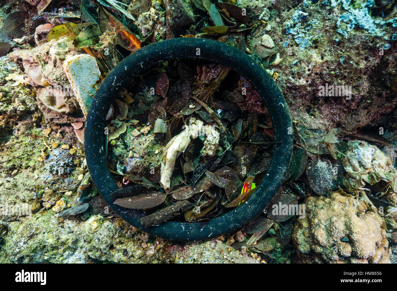 Un pneumatico di gomma marciume sul fondo dell'oceano. Foto Stock