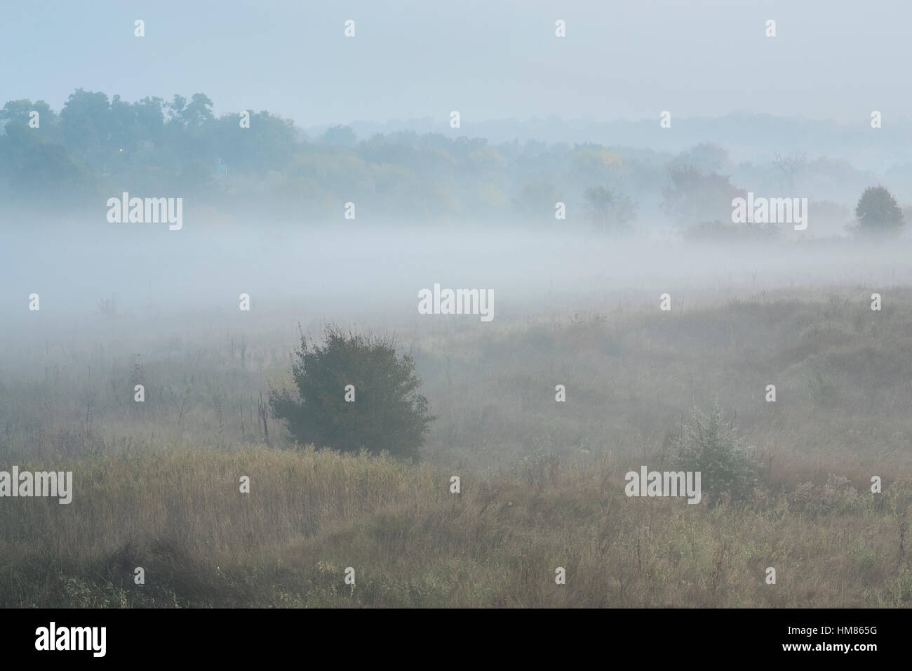 L'Ucraina, regione di Dnepropetrovsk, Novomoskovsk distretto, nebbia prato di copertura Foto Stock