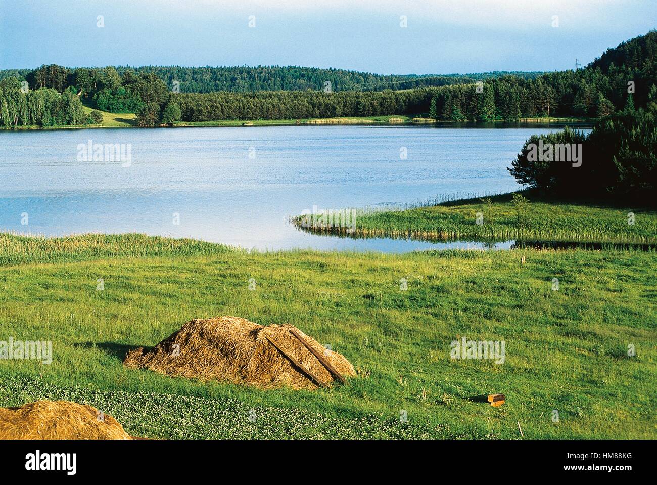 Il lago è circondato da vegetazione, Alytus, Lituania. Foto Stock