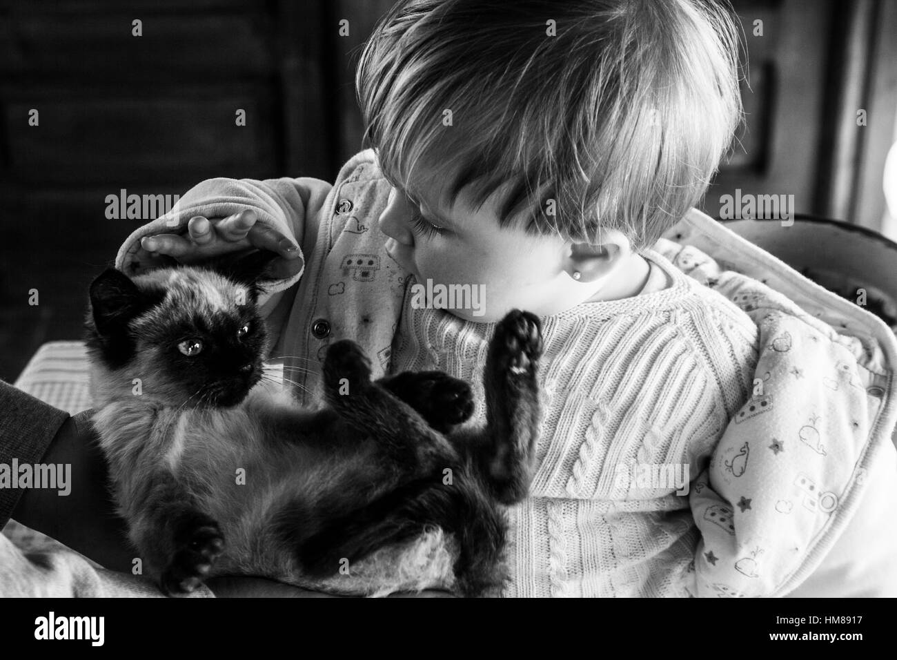 Un giovane bambino Petting gattino Foto Stock