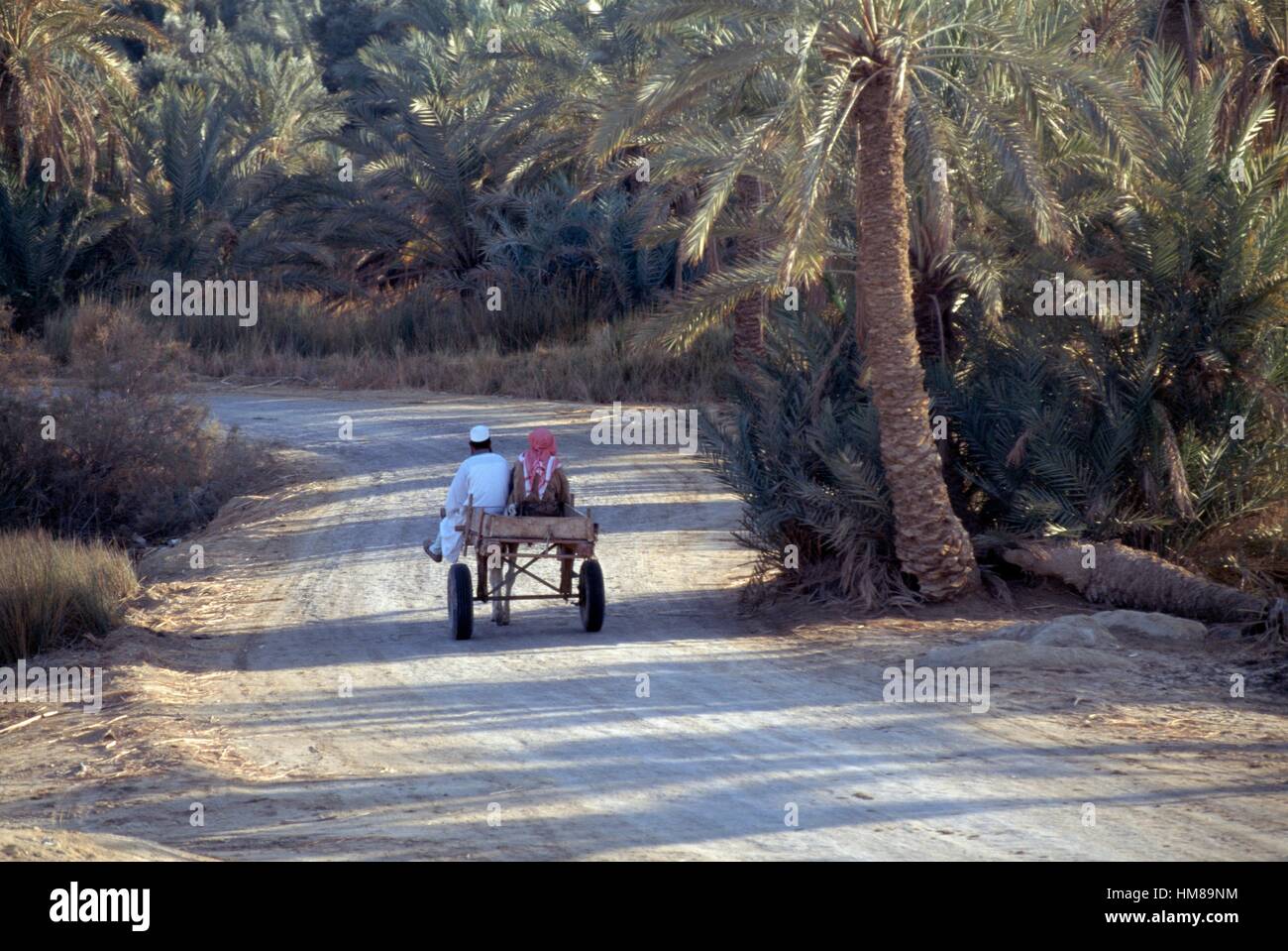 Gli uomini su un carrello, un'oasi di Siwa, Matrouh governatorato, Egitto. Foto Stock