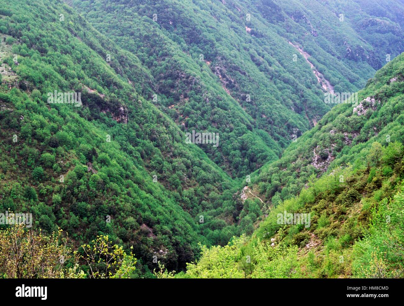 Lacerno Valley, vicino a Sora, Lazio, Italia. Foto Stock