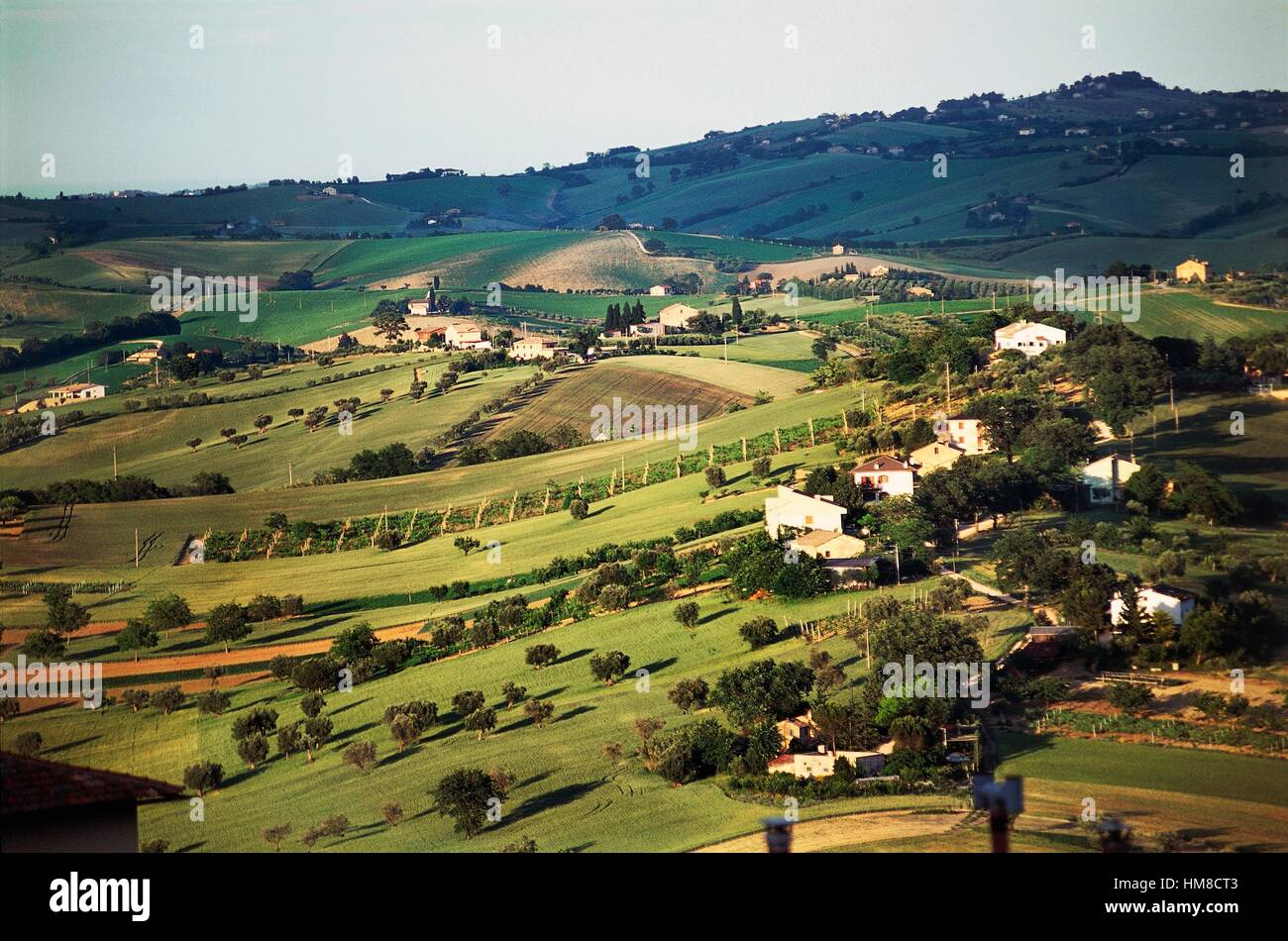 Il paesaggio agricolo nei pressi di Macerata, Marche, Italia. Foto Stock