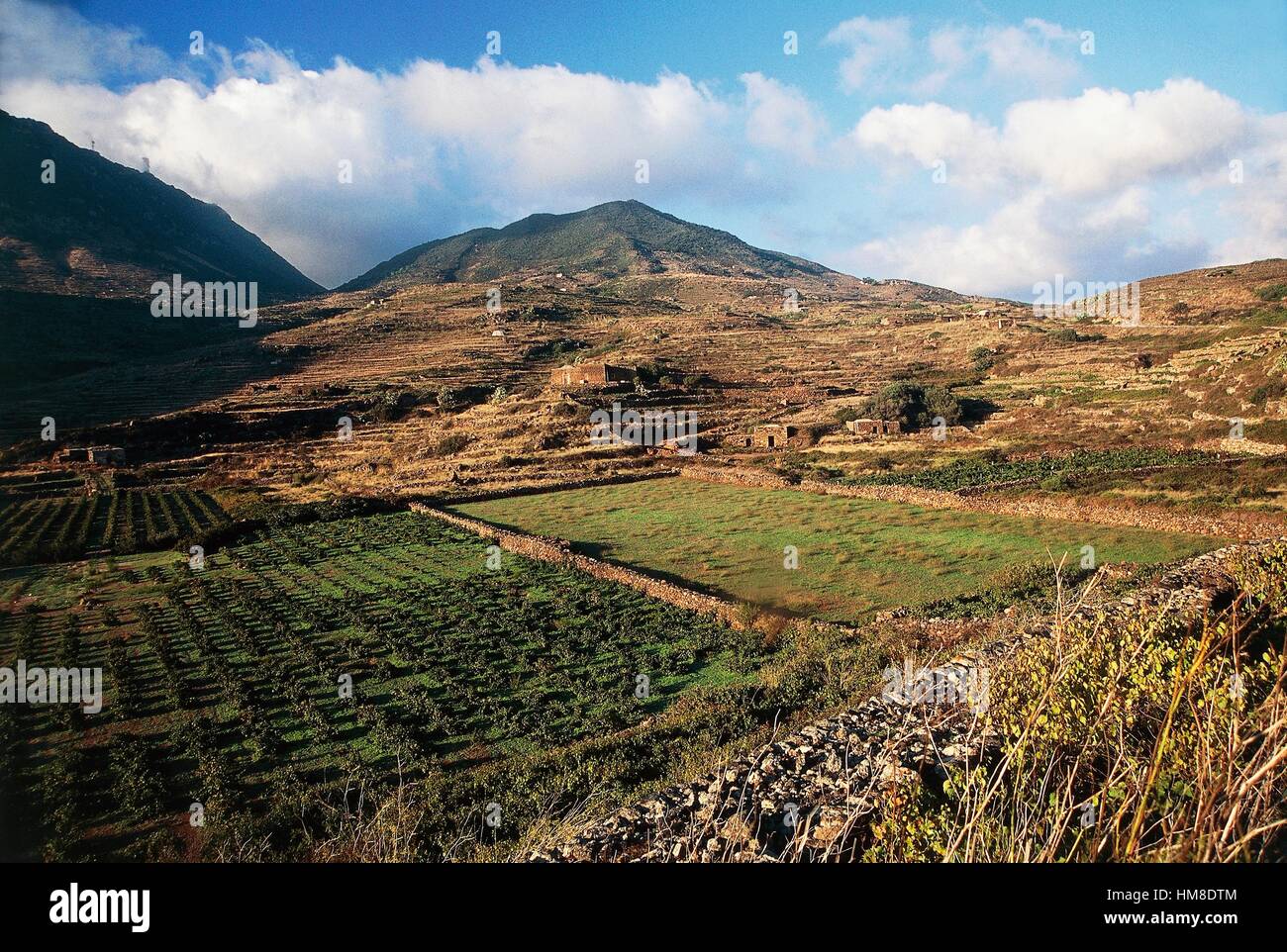 Vigneti, contrada Mueggen, Isola di Pantelleria, Sicilia, Italia. Foto Stock