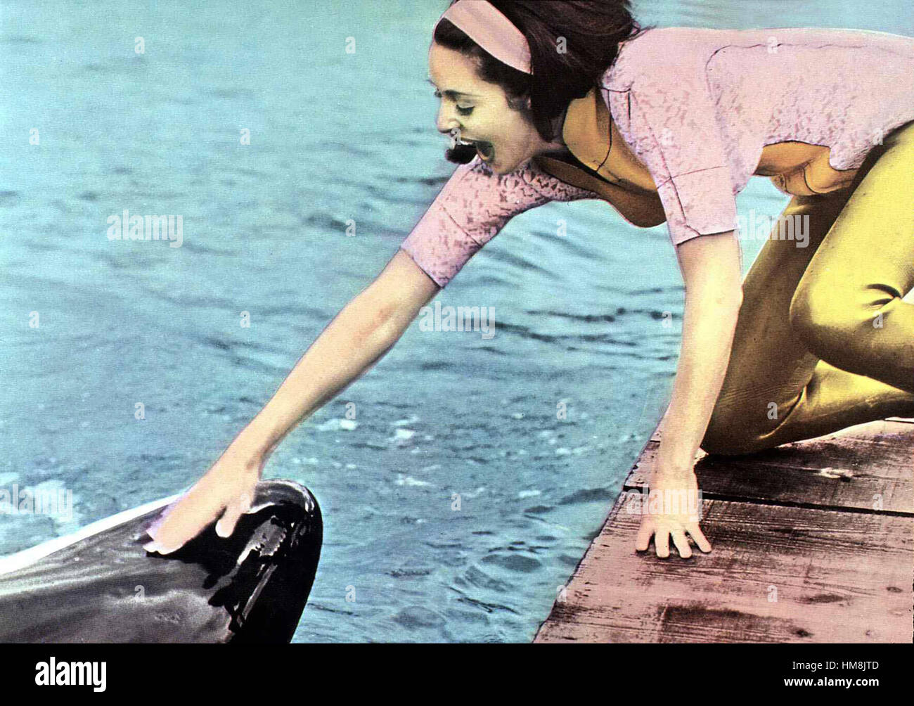 Namu, der Killerwal aka. Namu, la balena killer, USA 1966 Direttore: Laslo Benedek attori/stelle: Robert Lansing, John Anderson, Robin Mattson Foto Stock