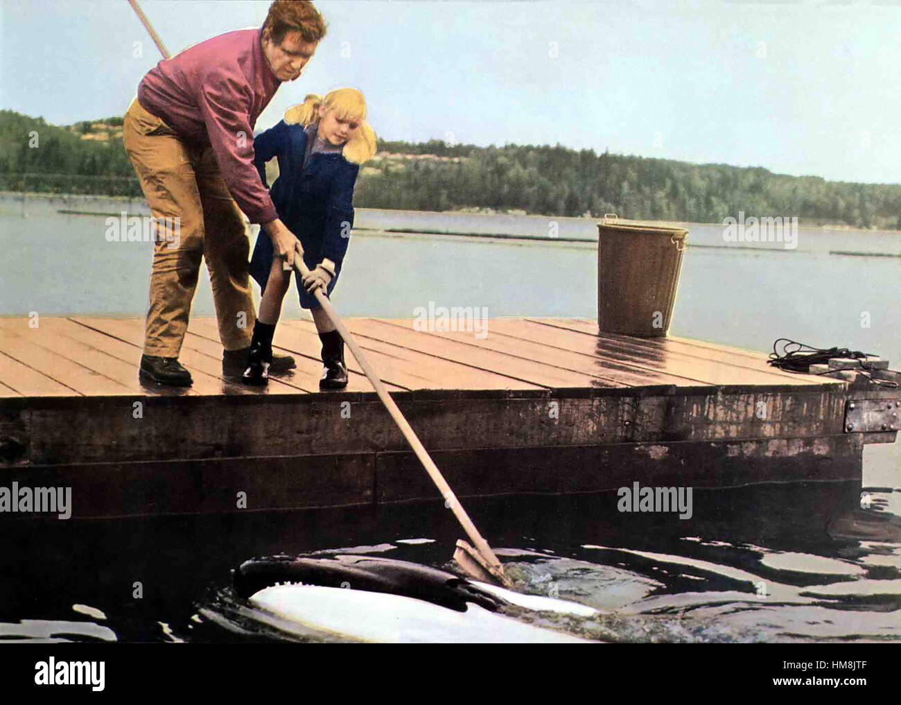 Namu, der Killerwal aka. Namu, la balena killer, USA 1966 Direttore: Laslo Benedek attori/stelle: Robert Lansing, John Anderson, Robin Mattson Foto Stock