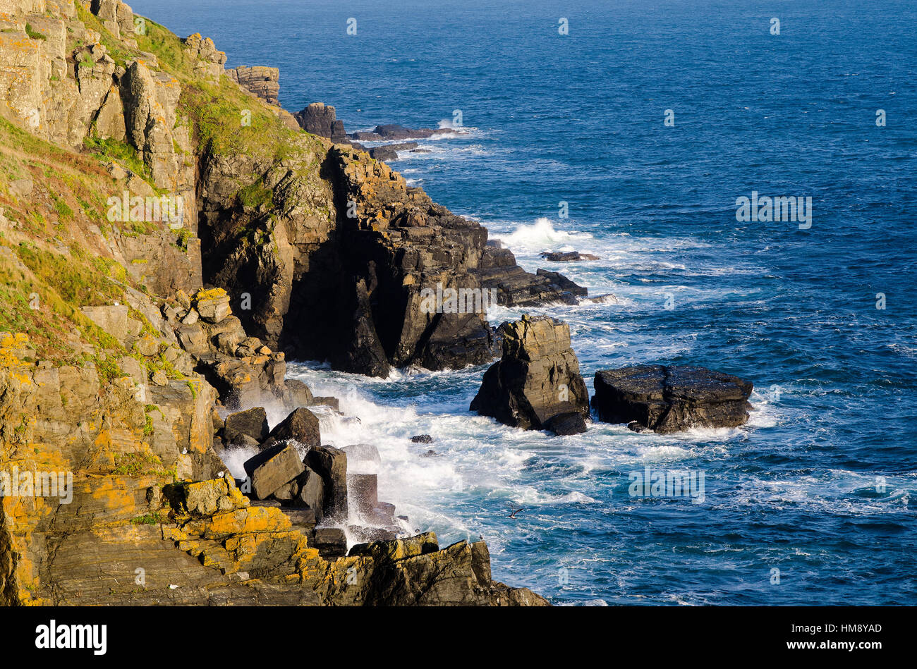 Le rocce in lucertola, Cornwall, Regno Unito Foto Stock
