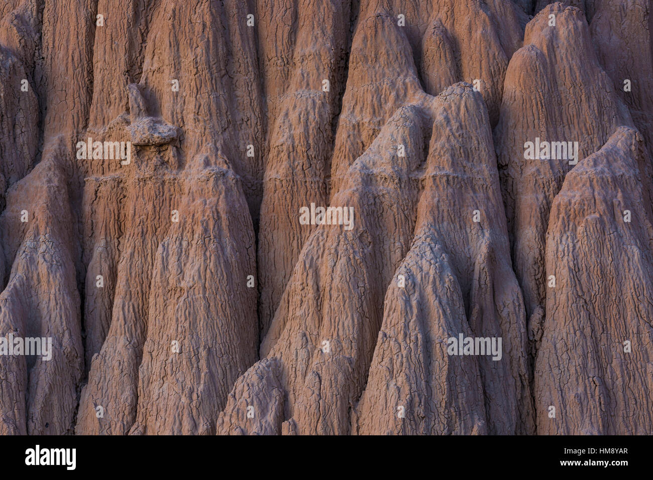 Nel tardo pomeriggio la luce sul eroso siltstone formazioni in Cathedral Gorge State Park, Nevada, STATI UNITI D'AMERICA Foto Stock