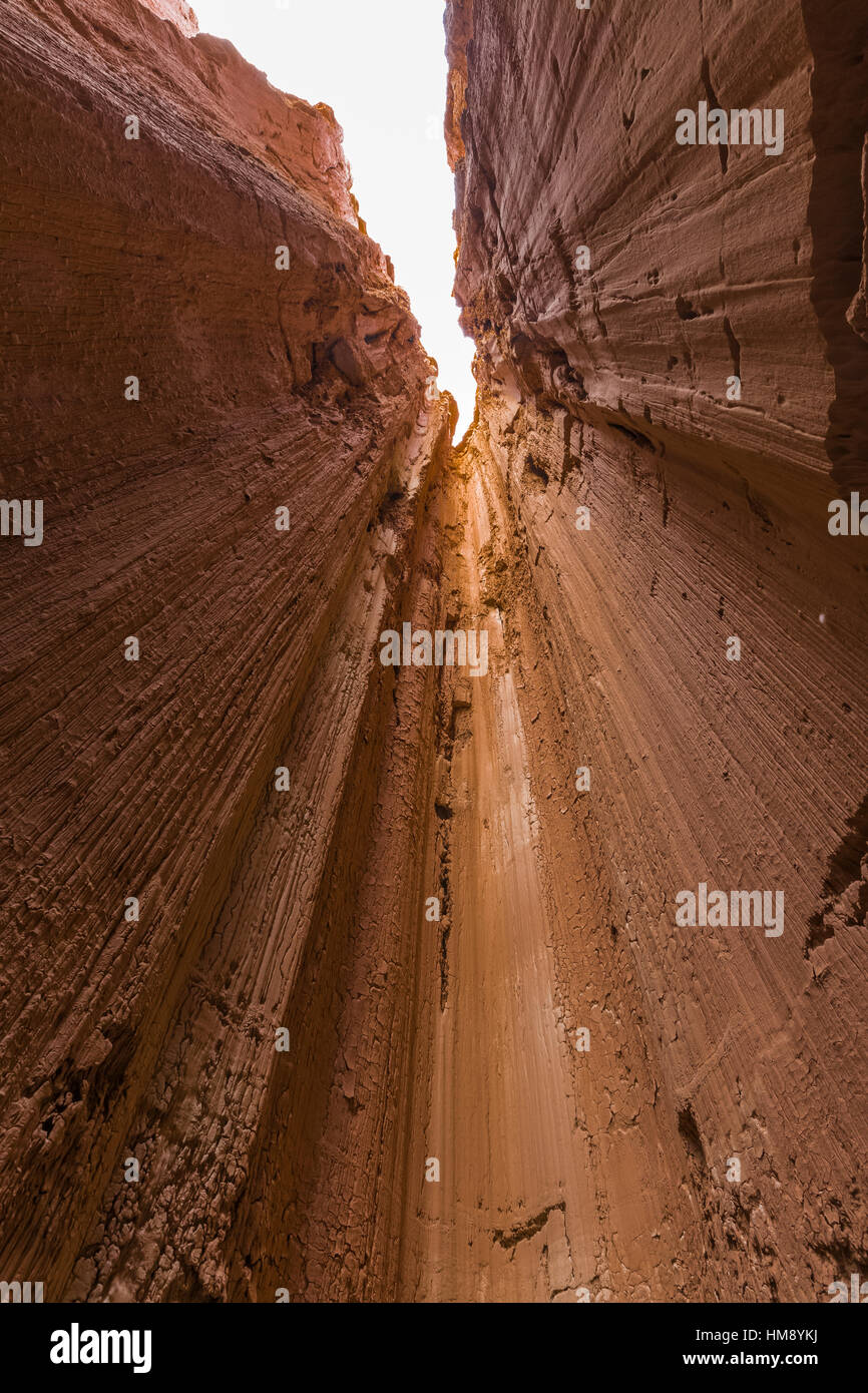 All'interno di uno degli slot canyon localmente conosciuto come grotte nella Cattedrale Gorge State Park, Nevada, STATI UNITI D'AMERICA Foto Stock