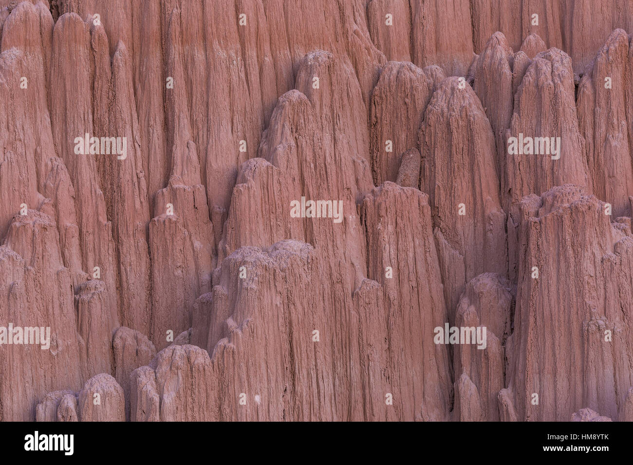 Nel tardo pomeriggio la luce sul eroso siltstone formazioni in Cathedral Gorge State Park, Nevada, STATI UNITI D'AMERICA Foto Stock