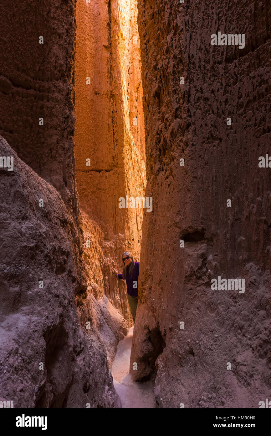 Karen Rentz esplorare uno dei canyon dello slot nella siltstone scogliere che la gente del posto si riferiscono a come le grotte, Cathedral Gorge State Park, Nevada, STATI UNITI D'AMERICA Foto Stock