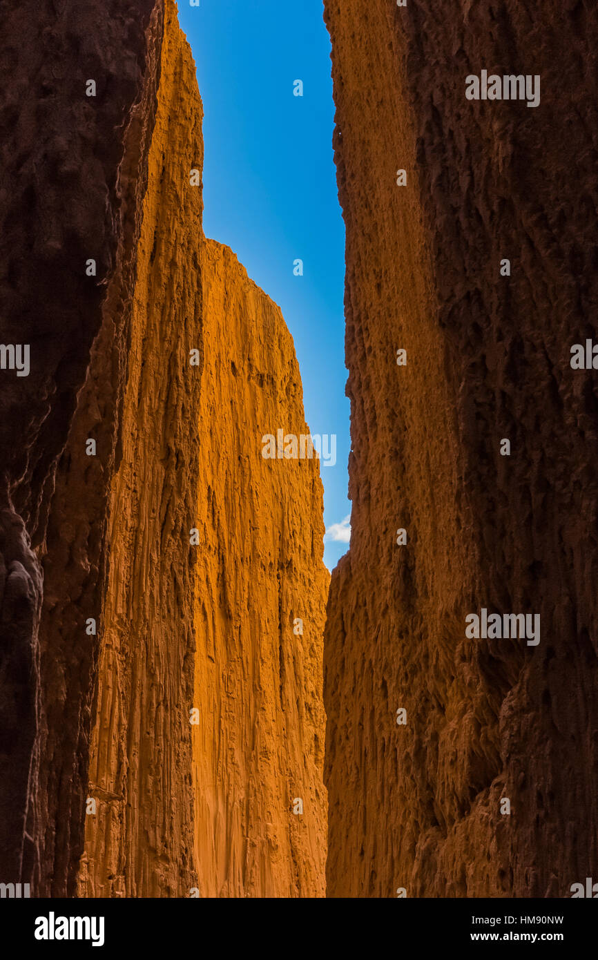 Visualizzare fino al cielo da dentro una delle tante slot canyons, localmente noto come grotte, che hanno eroso nel siltstone e scogliere di argilla in Cattedrale Foto Stock