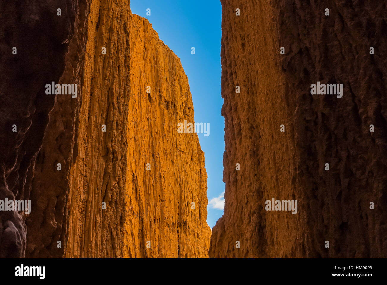Visualizzare fino al cielo da dentro una delle tante slot canyons, localmente noto come grotte, che hanno eroso nel siltstone e scogliere di argilla in Cattedrale Foto Stock