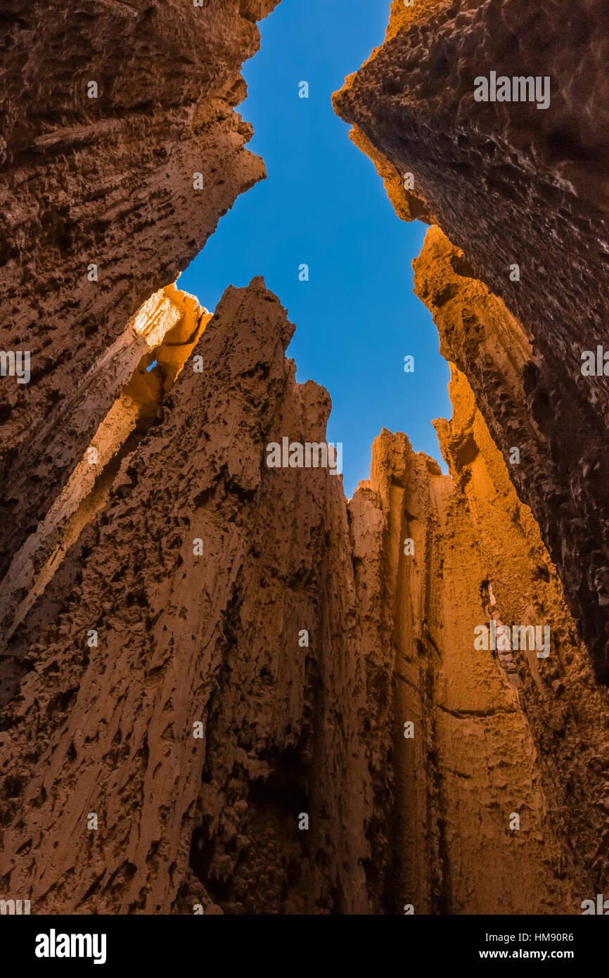 Visualizzare fino al cielo da dentro una delle tante slot canyons, localmente noto come grotte, che hanno eroso nel siltstone e scogliere di argilla in Cattedrale Foto Stock