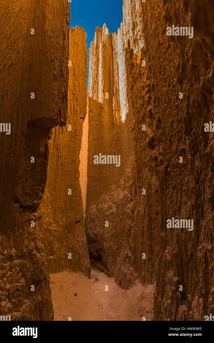 Visualizzare fino al cielo da dentro una delle tante slot canyons, localmente noto come grotte, che hanno eroso nel siltstone e scogliere di argilla in Cattedrale Foto Stock
