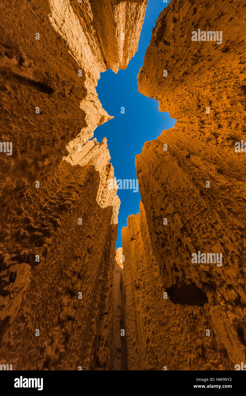 Visualizzare fino al cielo da dentro una delle tante slot canyons, localmente noto come grotte, che hanno eroso nel siltstone e scogliere di argilla in Cattedrale Foto Stock