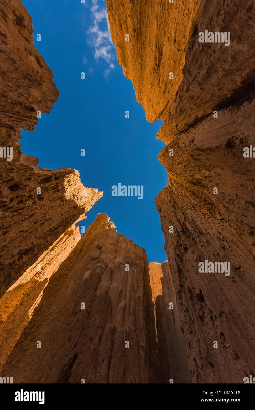 Visualizzare fino al cielo da dentro una delle tante slot canyons, localmente noto come grotte, che hanno eroso nel siltstone e scogliere di argilla in Cattedrale Foto Stock