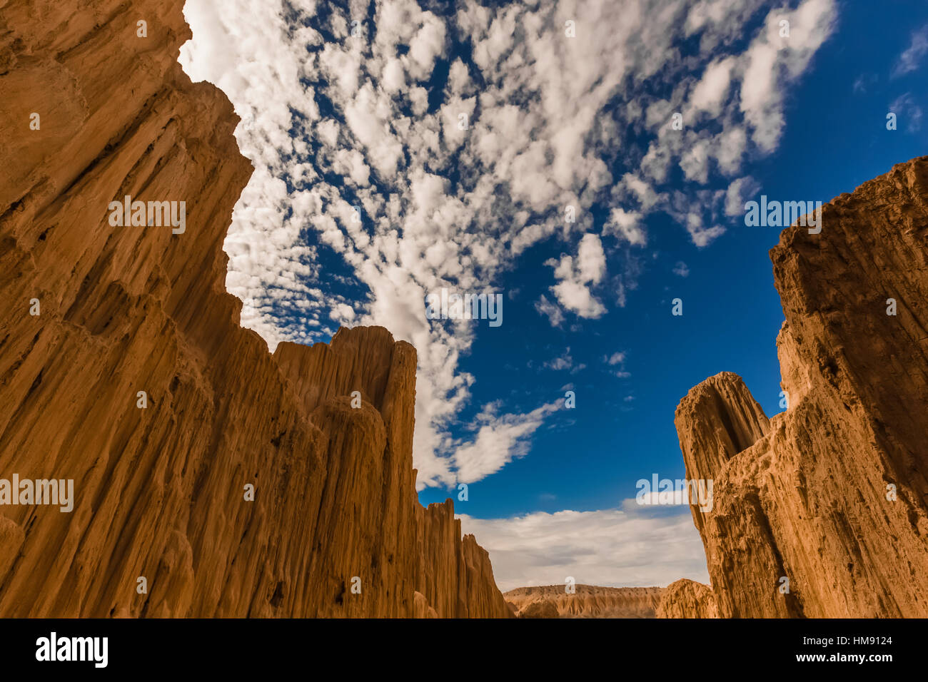 Visualizzare fino al cielo da dentro una delle tante slot canyons, localmente noto come grotte, che hanno eroso nel siltstone e scogliere di argilla in Cattedrale Foto Stock