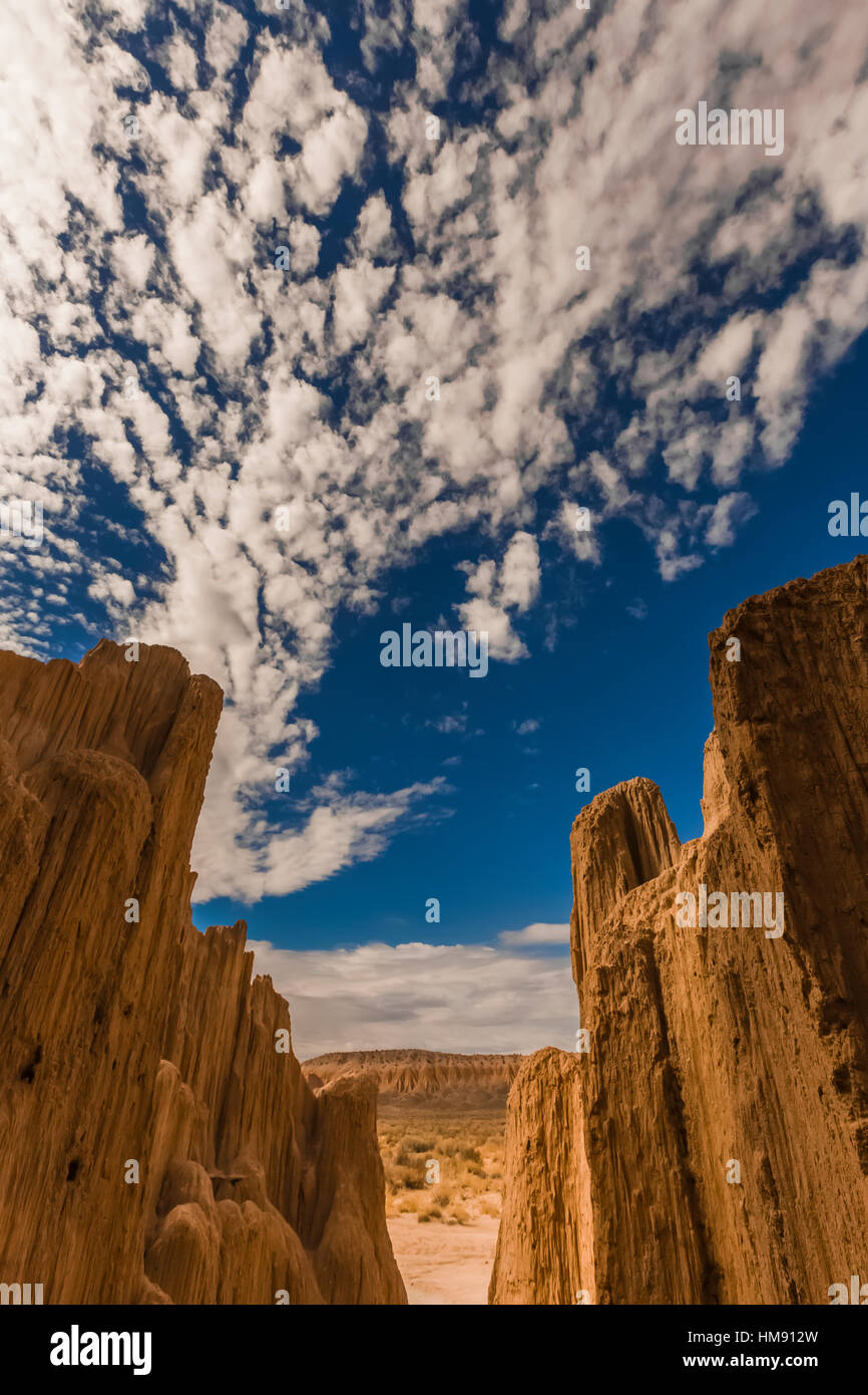 Visualizzare fino al cielo da dentro una delle tante slot canyons, localmente noto come grotte, che hanno eroso nel siltstone e scogliere di argilla in Cattedrale Foto Stock