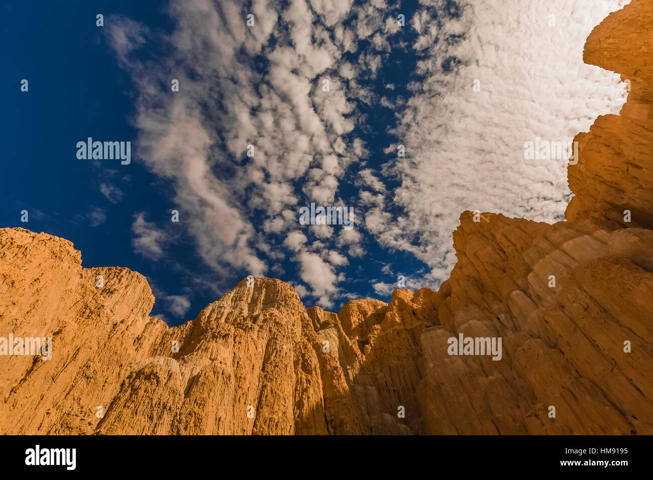 Visualizzare fino al cielo da dentro una delle tante slot canyons, localmente noto come grotte, che hanno eroso nel siltstone e scogliere di argilla in Cattedrale Foto Stock