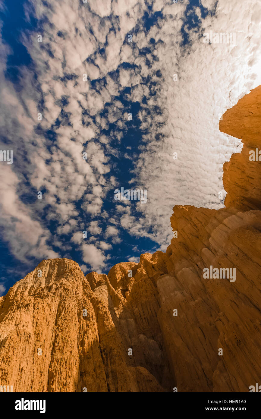 Visualizzare fino al cielo da dentro una delle tante slot canyons, localmente noto come grotte, che hanno eroso nel siltstone e scogliere di argilla in Cattedrale Foto Stock