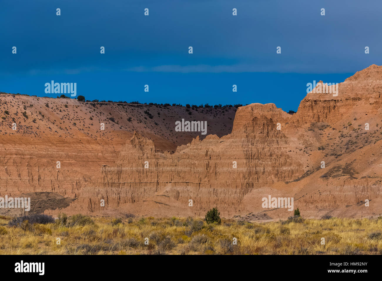 Pesantemente eroso Panaca Formazione, creando splendide guglie e scogliere in Cathedral Gorge State Park, Nevada, STATI UNITI D'AMERICA Foto Stock