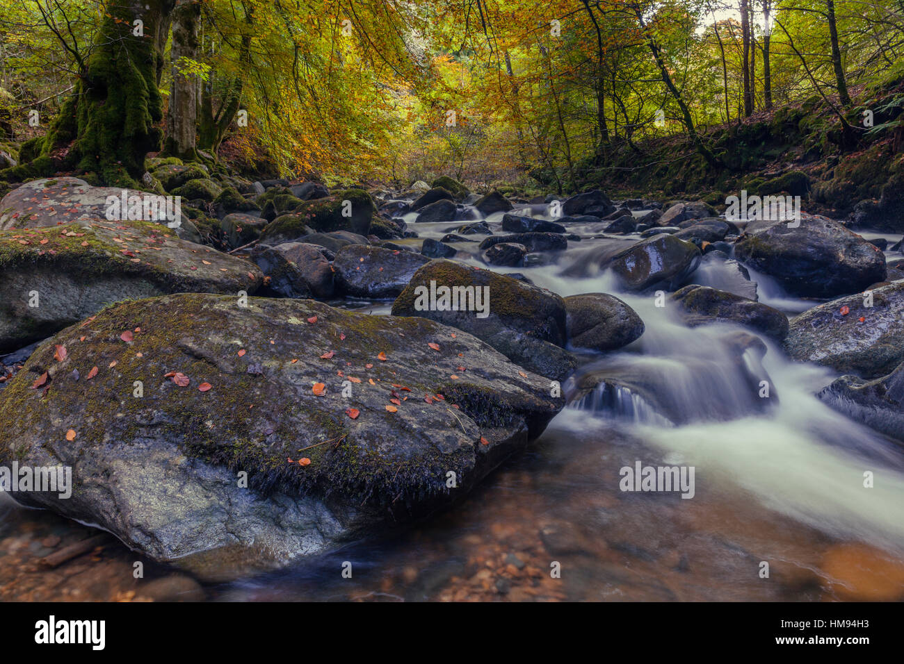 Il Moness Burn che fluisce attraverso le rocce entro il Birks di Aberfeldy in autunno, Perthshire, Scotland, Regno Unito Foto Stock