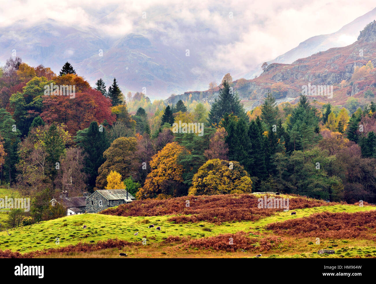 Un autunno vista della Scenic Langdale Valley, Parco Nazionale del Distretto dei Laghi, Cumbria, England, Regno Unito Foto Stock