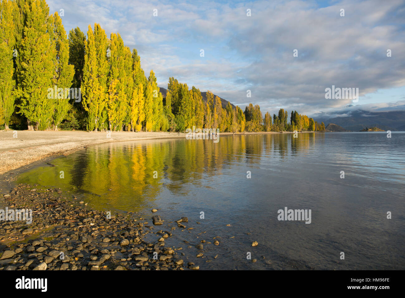 Vista lungo la riva del tranquillo Lago Wanaka, autunno, Roys Bay, Wanaka, Queenstown-Lakes distretto, Otago, Nuova Zelanda Foto Stock