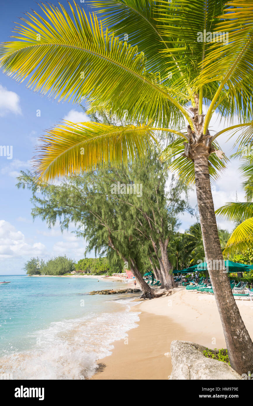 Spiaggia, Holetown, St. James, Barbados, West Indies, dei Caraibi e America centrale Foto Stock