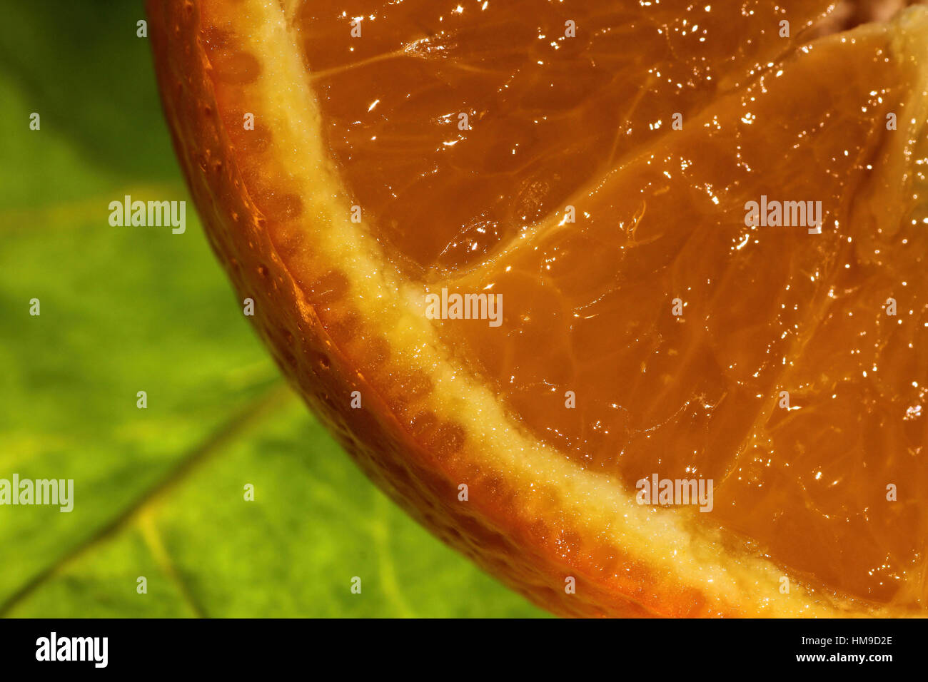 Dissetanti e succulenti orange da vicino Foto Stock