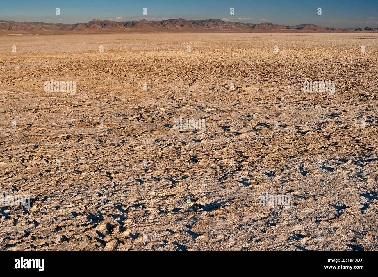 Deposito di sale al lago Sevier, dry lake nel bacino grande deserto dello Utah, Stati Uniti d'America Foto Stock