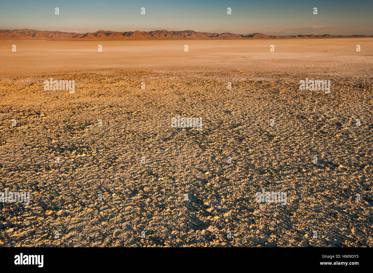 Il sale si deposita sul fondo del lago Sevier, dry lake nel bacino grande deserto dello Utah, Stati Uniti d'America Foto Stock