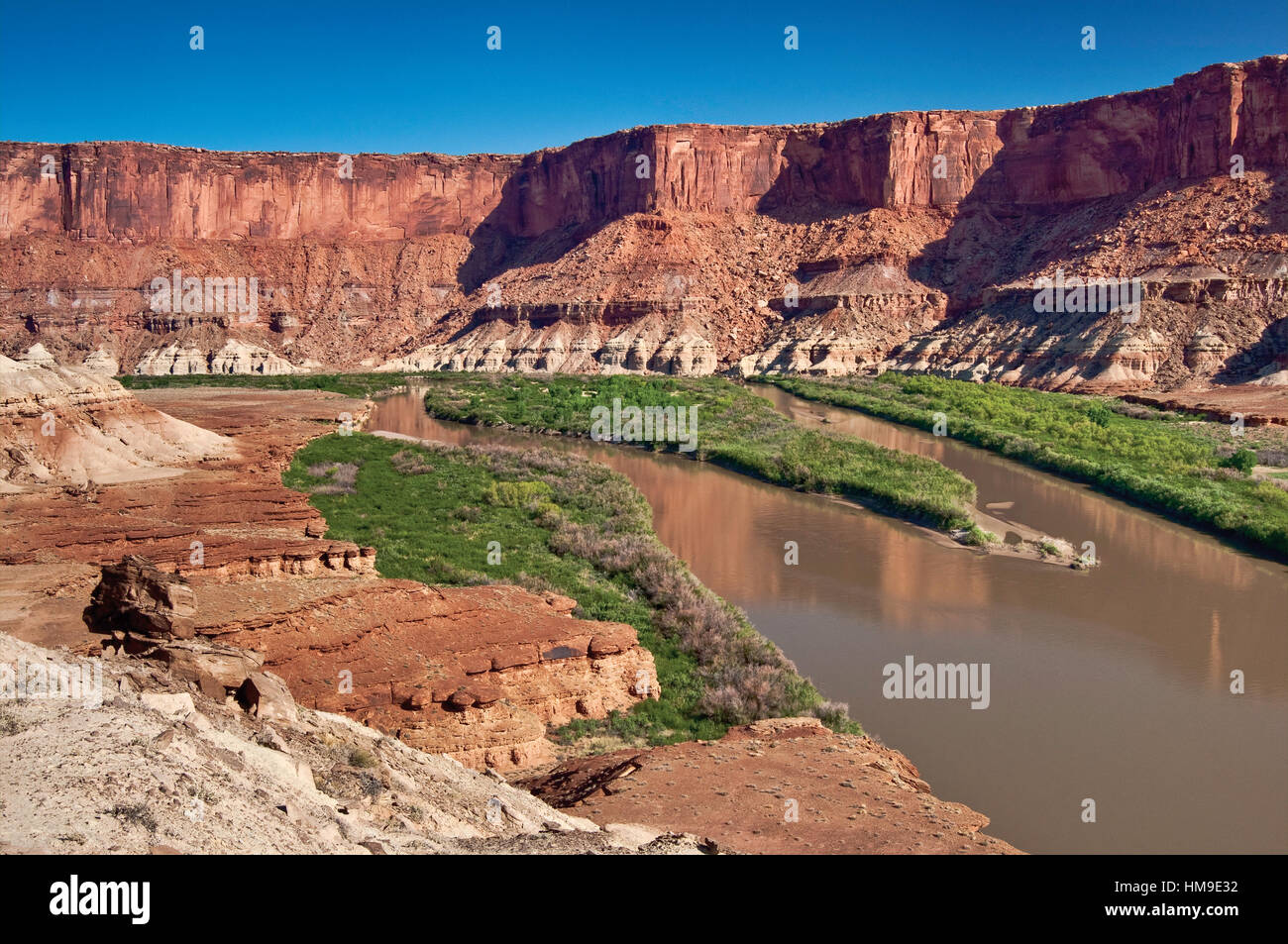 Green River in Fort area inferiore, vista da Fort Fondo Trail, White Rim Road, il Parco Nazionale di Canyonlands, Utah, Stati Uniti d'America Foto Stock